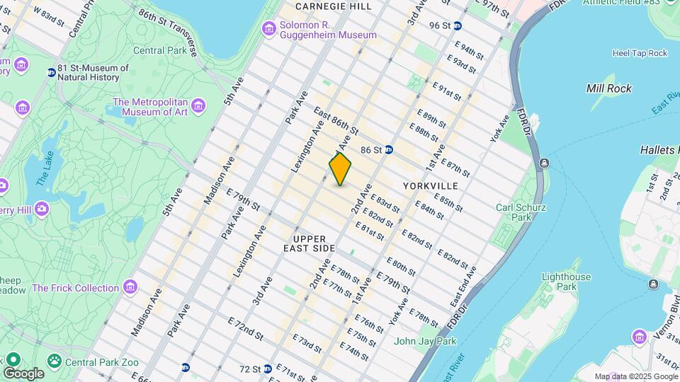 221 E 82nd St Mapa y Detalles de la Ubicación