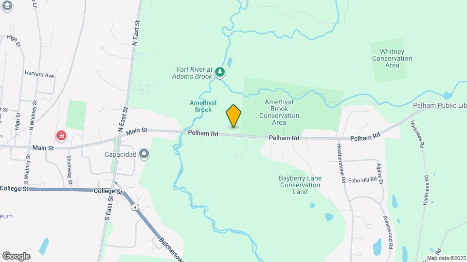 98 Pelham Rd Map and Location Details