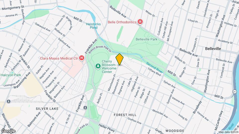 157 Manchester Pl, Unit Fl 2 Mapa y Detalles de la Ubicación