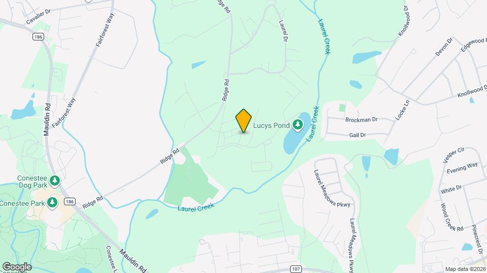203 Norse Crk Dr Mapa y Detalles de la Ubicación