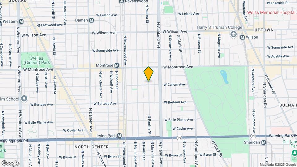 42295 N Paulina St-Unit -Apt 3N Map and Location Details