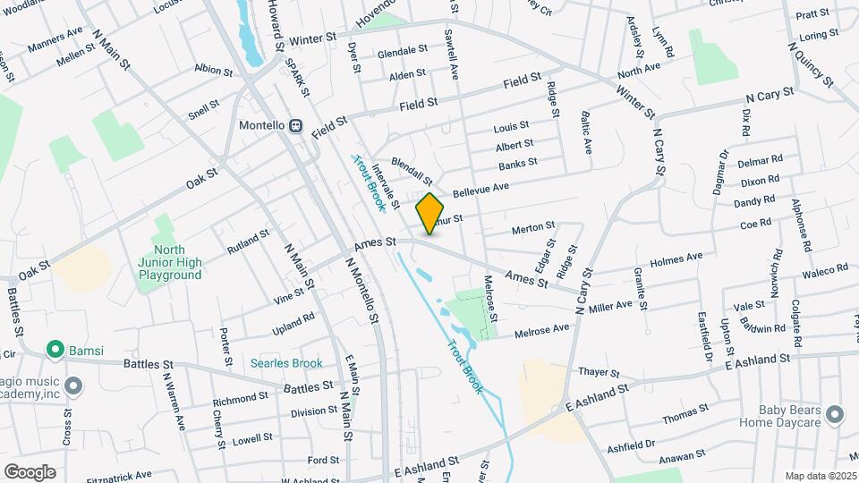 134 Ames St Mapa y Detalles de la Ubicación