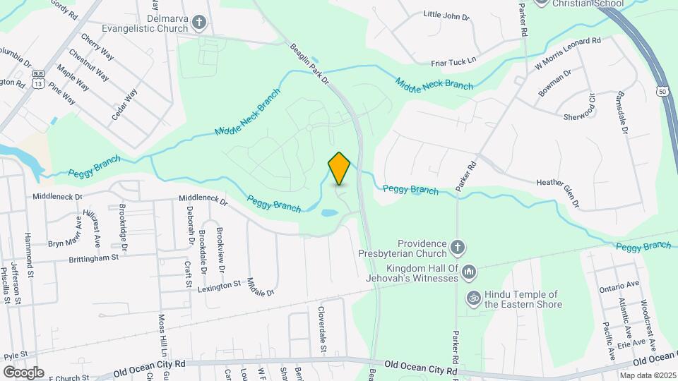 407 Stream Valley Ct Mapa y Detalles de la Ubicación