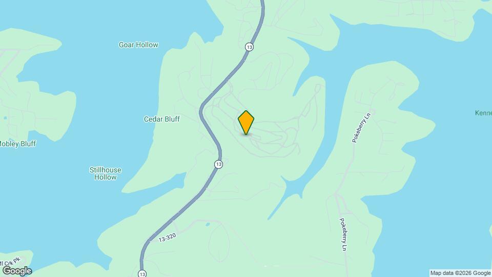 395 Ozark Mountain Resort Dr Mapa y Detalles de la Ubicación