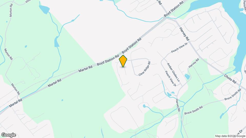 1223 Walnut Branch Ln Mapa y Detalles de la Ubicación