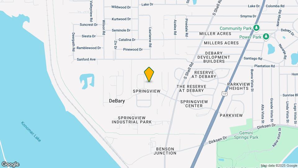 206 Palmetto Springs St Map and Location Details