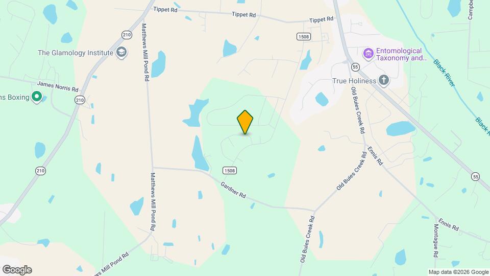 65 Blossom Field Way Mapa y Detalles de la Ubicación