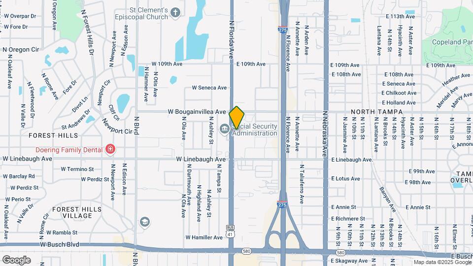 10049 N Florida Ave Mapa y Detalles de la Ubicación