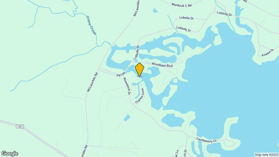 119 Mallard Cove Map and Location Details