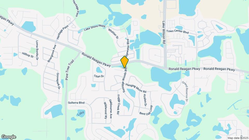 100 Sunridge Woods Ct Mapa y Detalles de la Ubicación