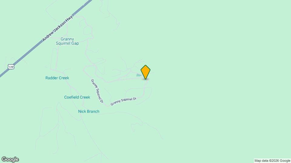 1136 Granny Squirrel Dr Mapa y Detalles de la Ubicación