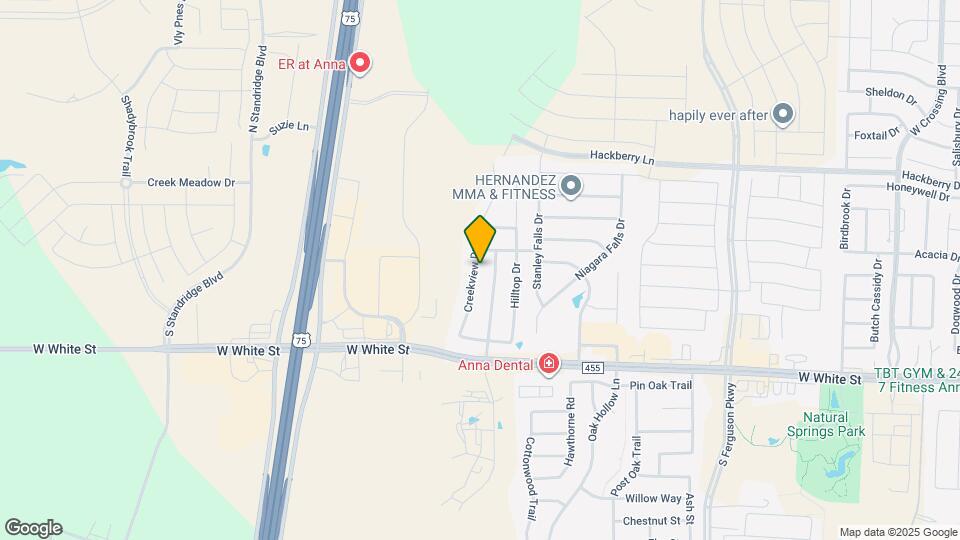 317 Creekview Dr Mapa y Detalles de la Ubicación