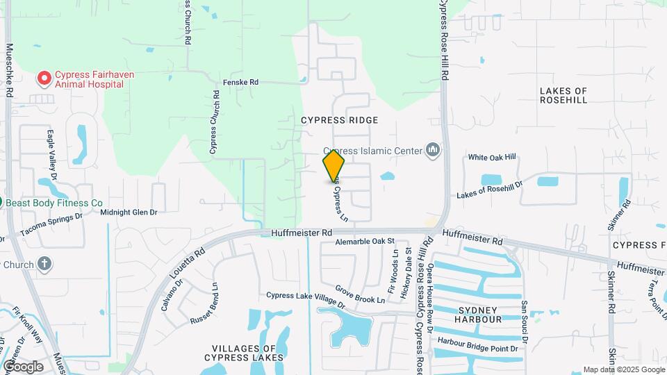 15907 Kings Cypress Ln Mapa y Detalles de la Ubicación
