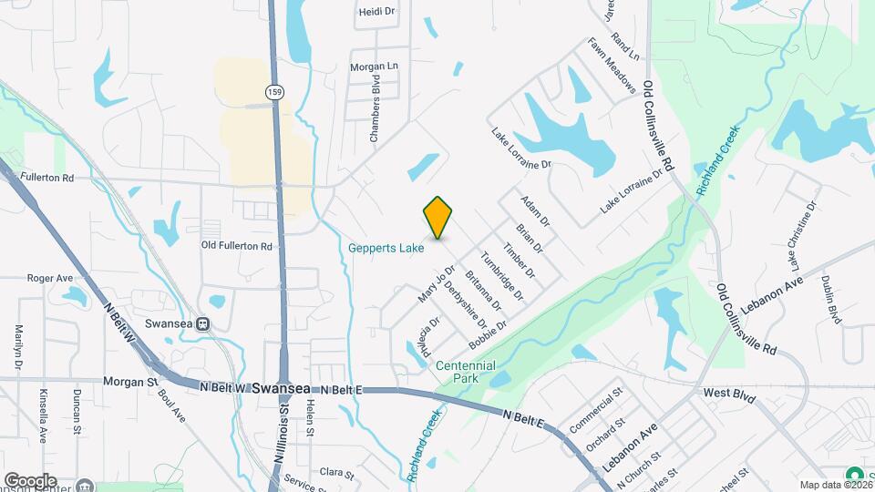313 Britanna Dr Mapa y Detalles de la Ubicación