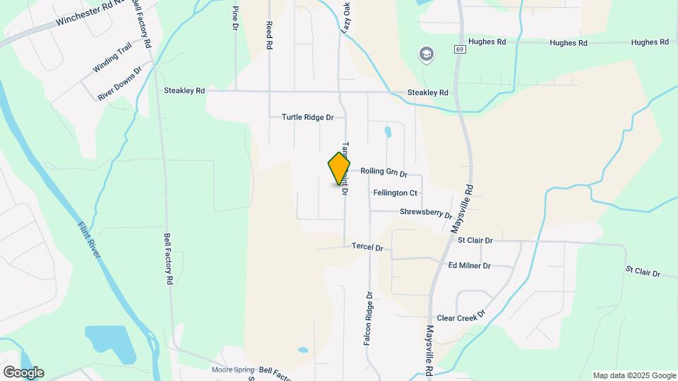236 Tanner Point Dr Mapa y Detalles de la Ubicación