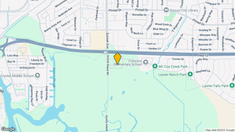 1225 McCoy Creek Way Map and Location Details