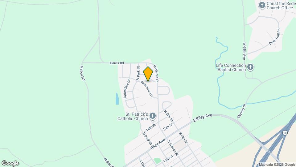 317 Palomino Ln Mapa y Detalles de la Ubicación