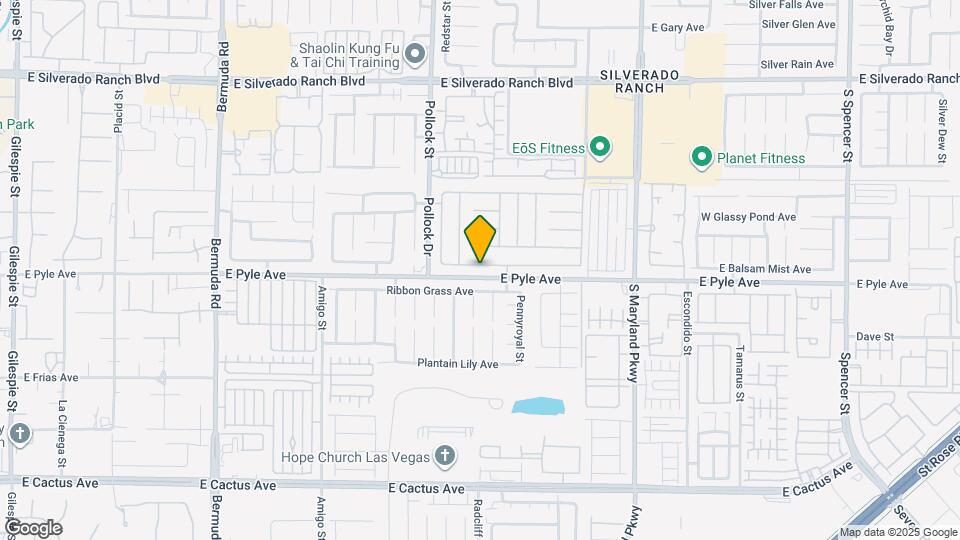 893 Dancing Vines Ave Map and Location Details