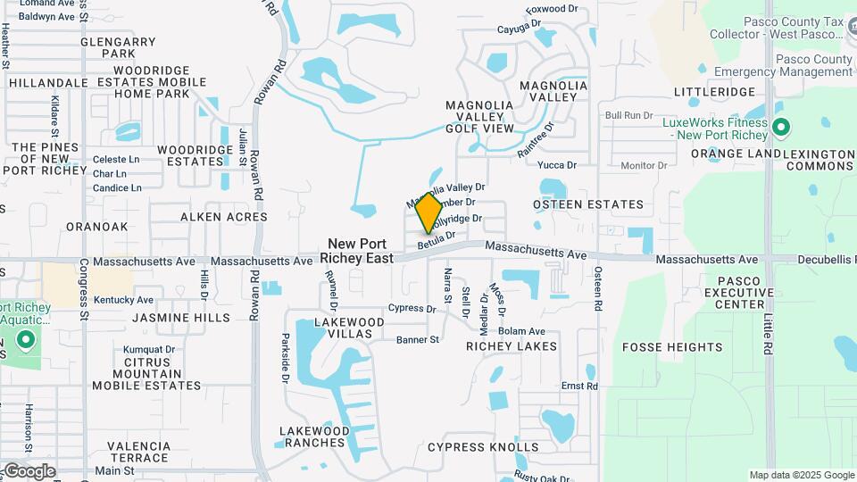 7501 Betula Dr Map and Location Details