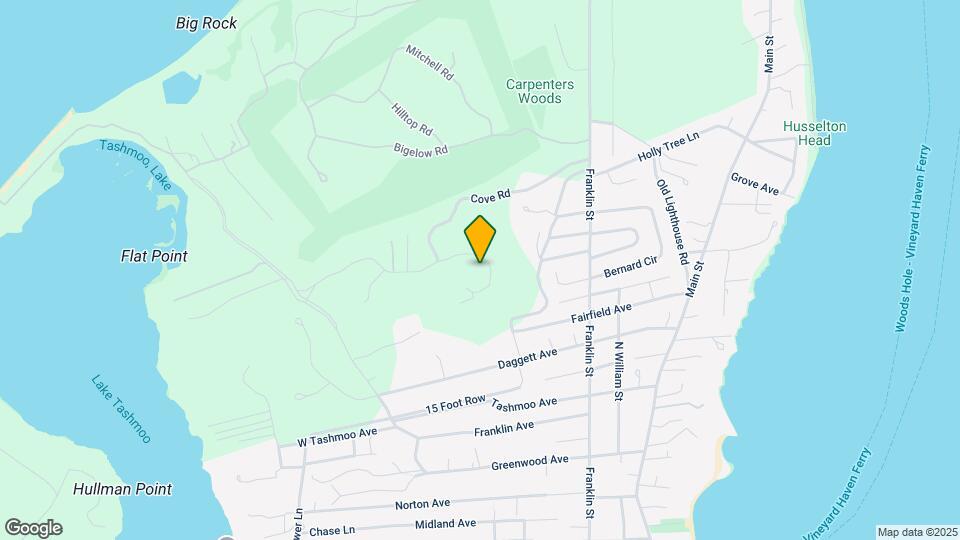 223 Sandpiper Ln Mapa y Detalles de la Ubicación
