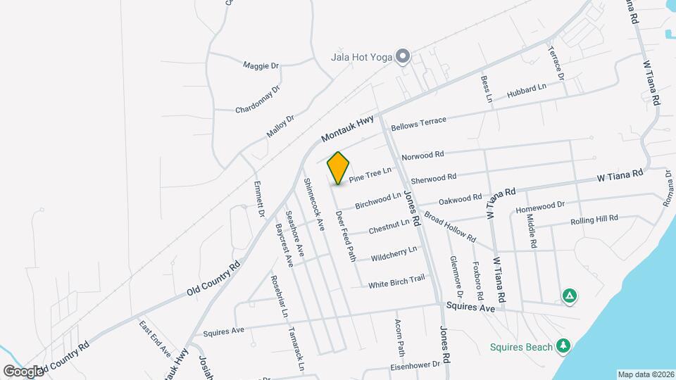 19 Pine Tree Ln Map and Location Details