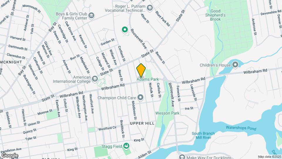 342 Wilbraham Rd Mapa y Detalles de la Ubicación