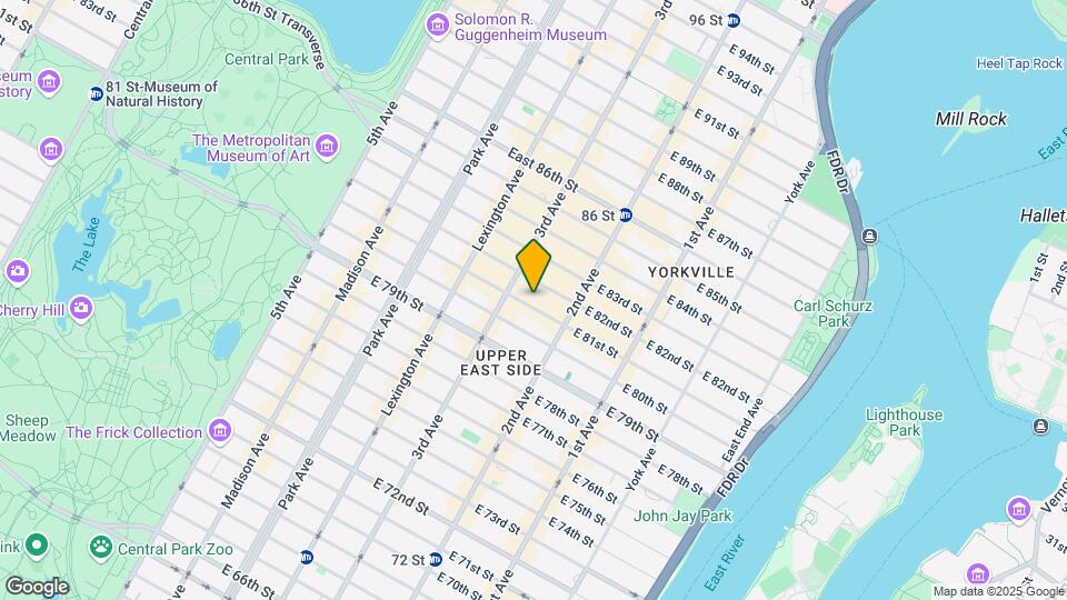 219 E 81st St Map and Location Details