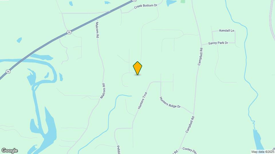 295 Bramble Bush Trail Mapa y Detalles de la Ubicación