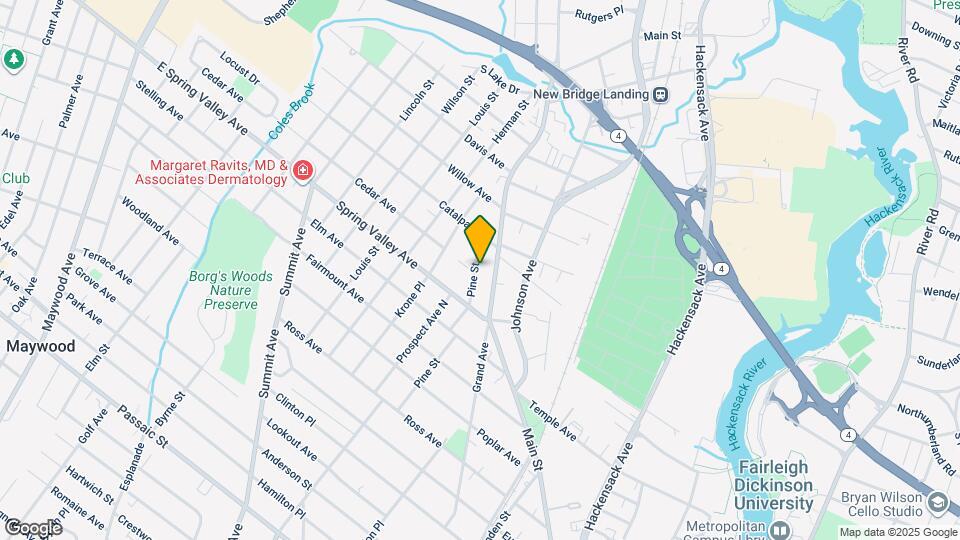 154 Pine St Map and Location Details