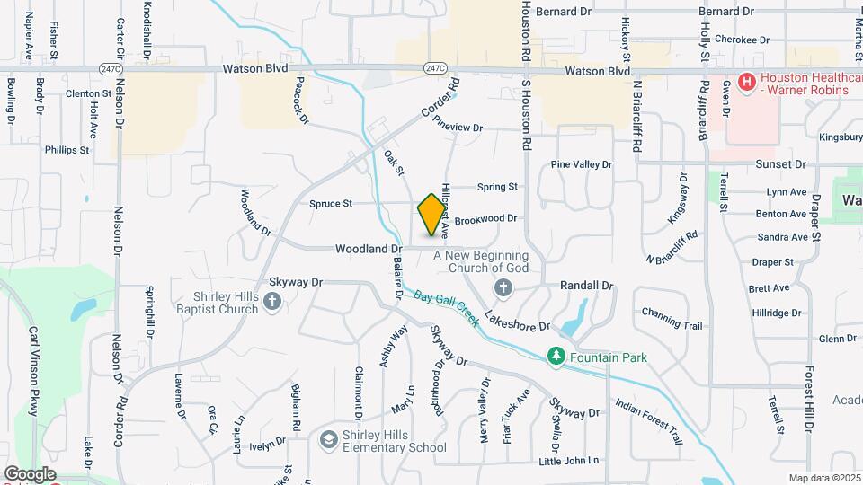 203 Woodland Dr Mapa y Detalles de la Ubicación