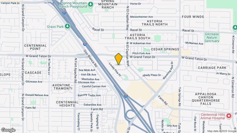 8829 Big Bear Pines Ave Map and Location Details