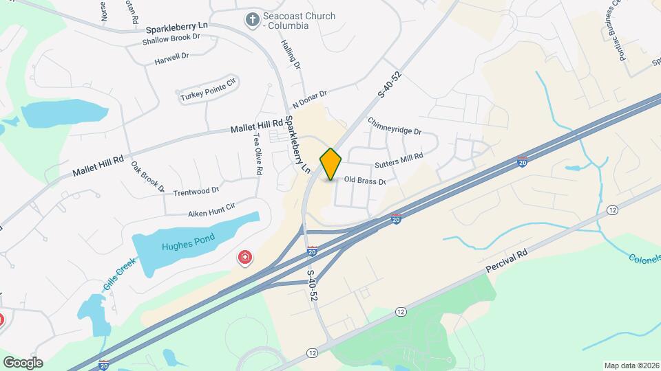 313 Old Brass Dr Map and Location Details