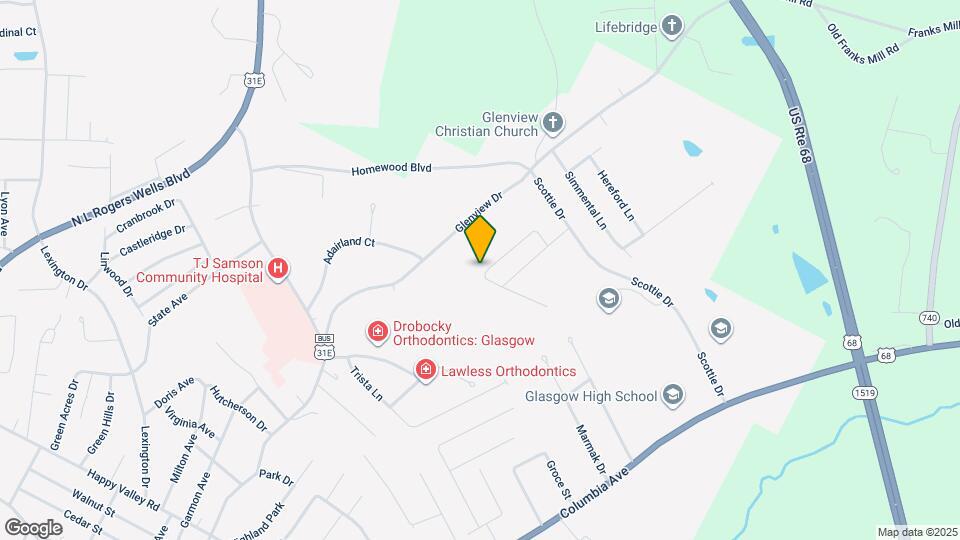 133 Ashkirk Ln Map and Location Details