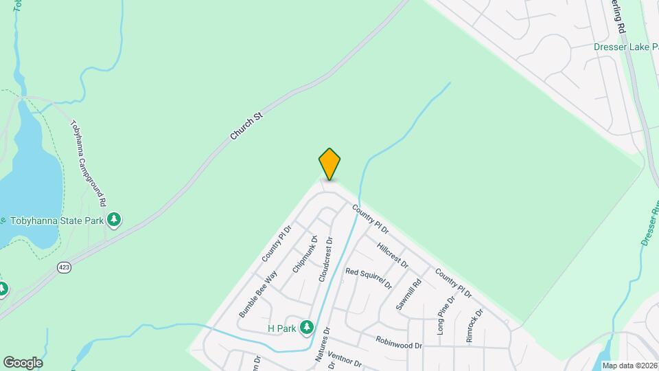 993 Country Place Dr Mapa y Detalles de la Ubicación