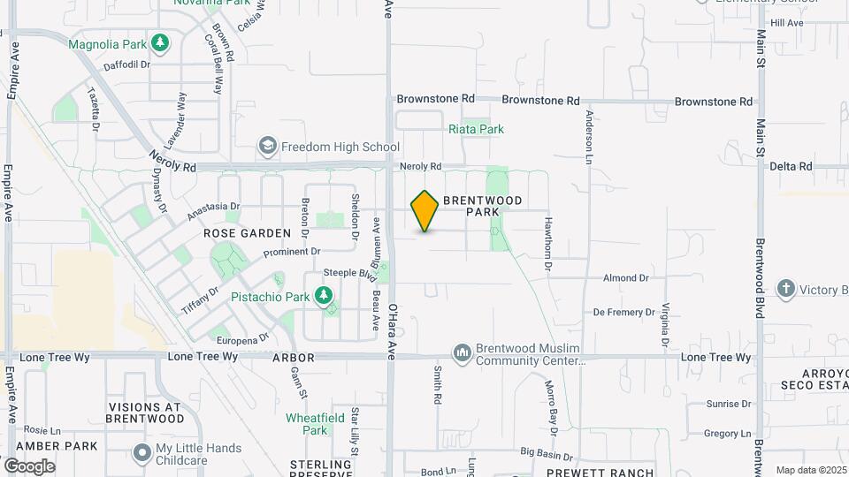 784 Begonia Dr Map and Location Details