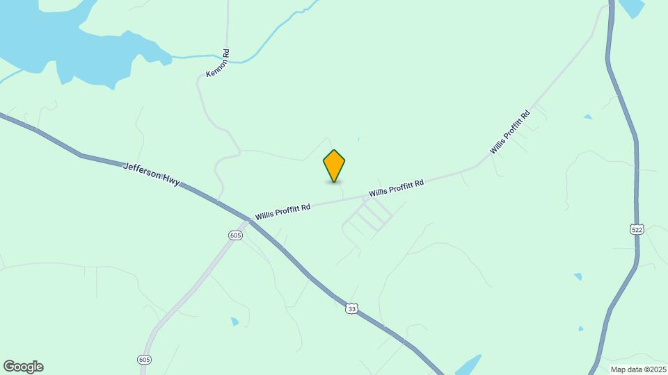295 Willis Proffitt Rd Mapa y Detalles de la Ubicación