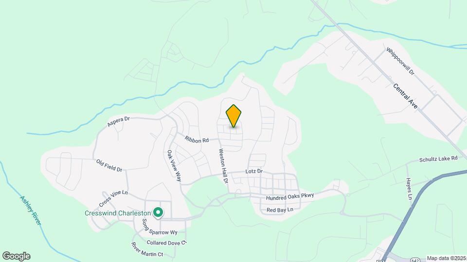 106 Starling St Mapa y Detalles de la Ubicación