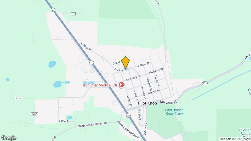 203 McCune St Map and Location Details