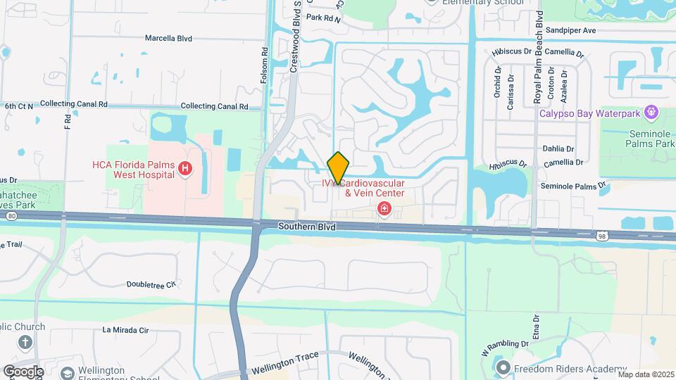 91 Palm Ln Map and Location Details