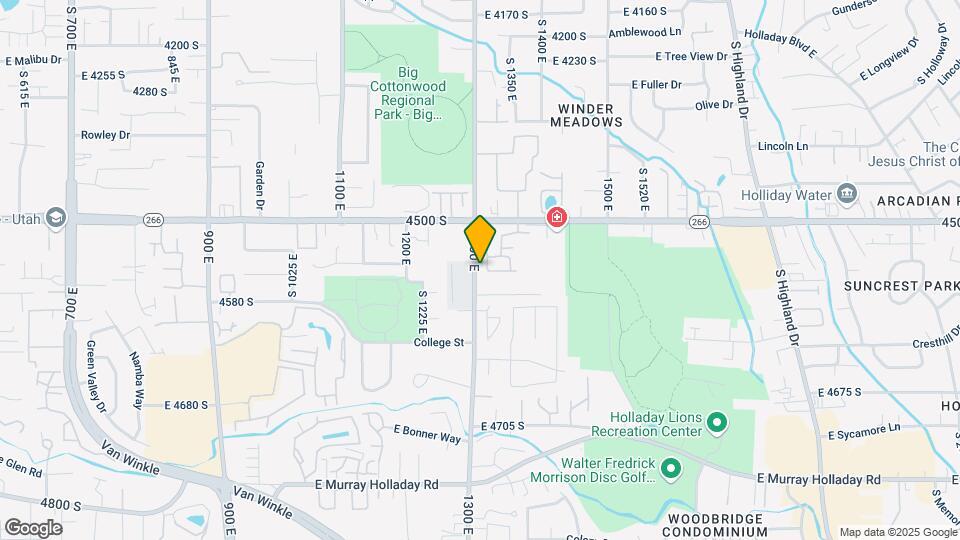 4542 Lake Springs Ln Map and Location Details