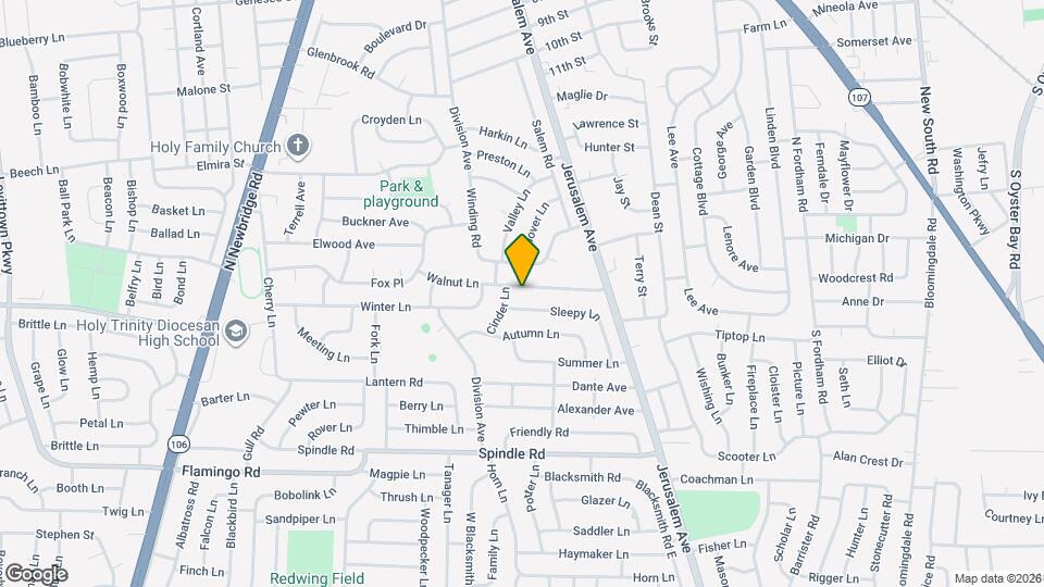 45 Walnut Ln Mapa y Detalles de la Ubicación