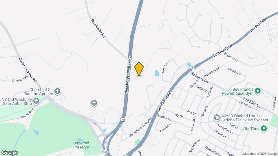 229 NY-106 Map and Location Details