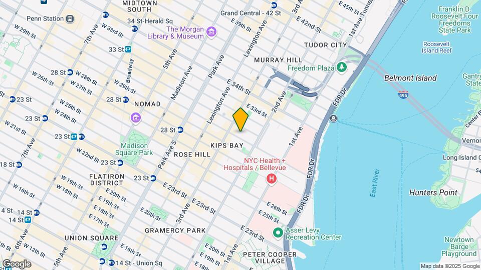 225 E 30th St Mapa y Detalles de la Ubicación