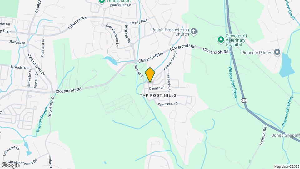 1156 Amelia Park Dr Mapa y Detalles de la Ubicación