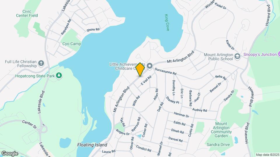 272 Mt Arlington Blvd Map and Location Details