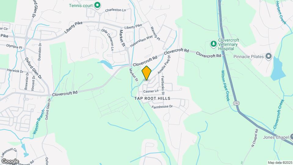 1132 Amelia Park Dr Mapa y Detalles de la Ubicación