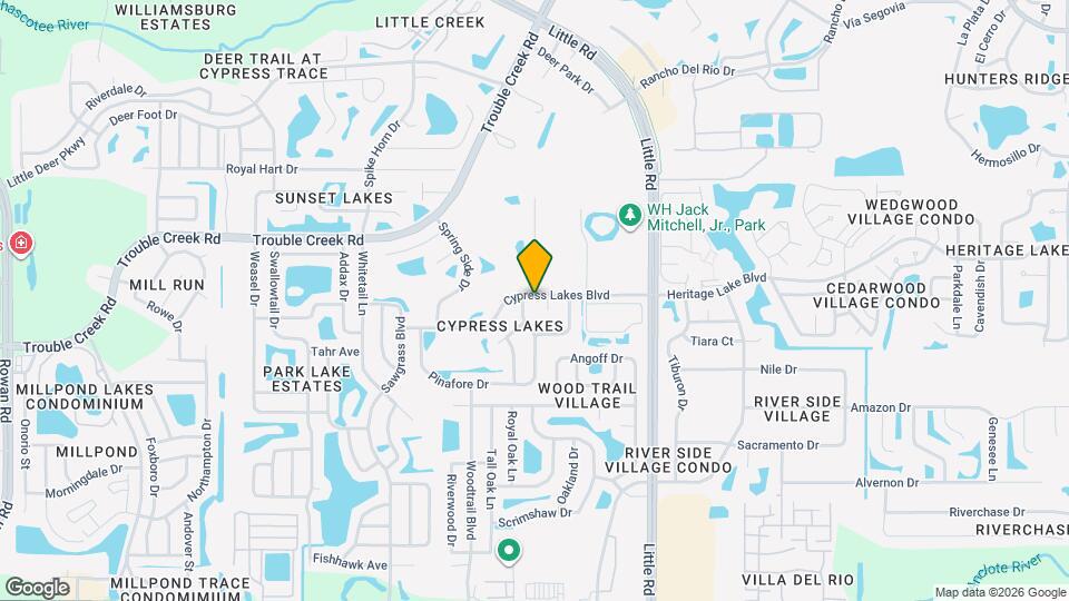 8712 Cypress Lakes Blvd Mapa y Detalles de la Ubicación