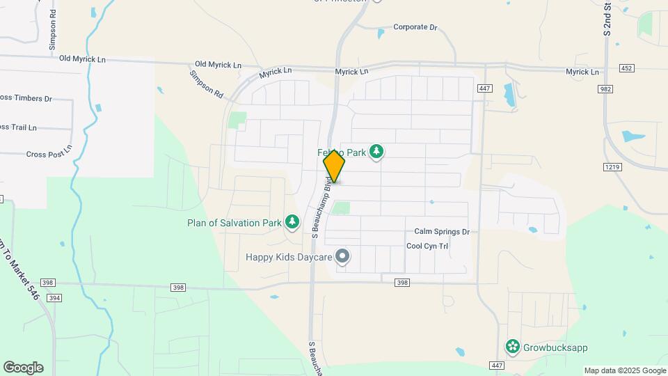 1316 Wrangler Way Map and Location Details