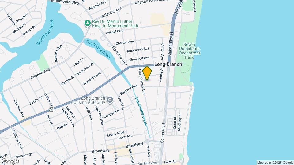 Buena Vista Map and Location Details