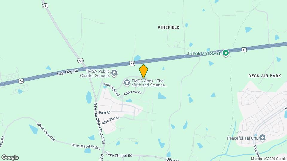 1132 Chestnut Bluff Run Map and Location Details